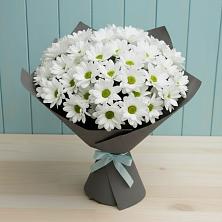 Букет цветов из:  Хризантемы в Ильинке Новокузнецк