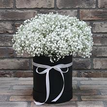 Цветочная композиция из Гипсофила в шляпной коробке #REPLACE_PRED# Ильинке Новокузнецк