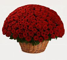 Премиум букет из: Розы #REPLACE_PRED# Ильинке Новокузнецк